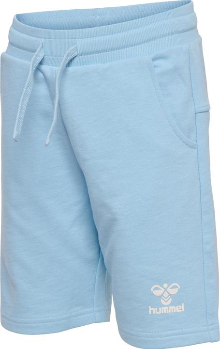 hummel Hmlflow Shorts (152)