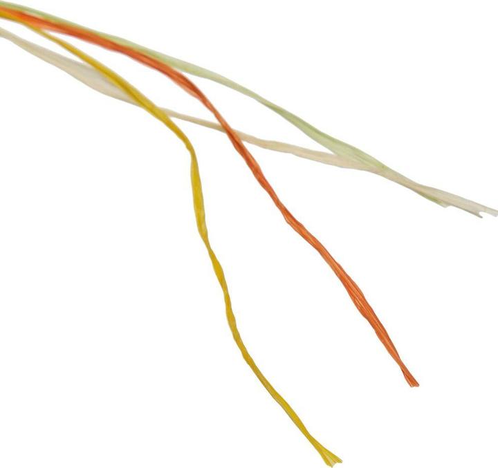 Produktbild Präsent Bast Multi (1x)