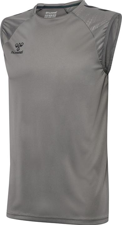 Gris acier