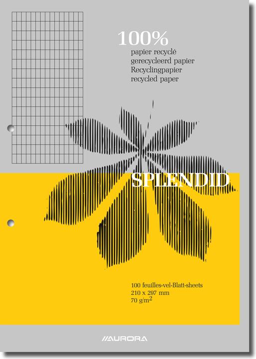 Image du produit Aurora Bloc-notes Splendid Encollé DIN A4 Quadrillé Papier Couleur assortie D102RC (A4, Quadrillé)