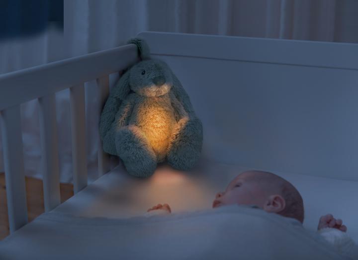 Image du produit ZaZu RO the Rabbit Green