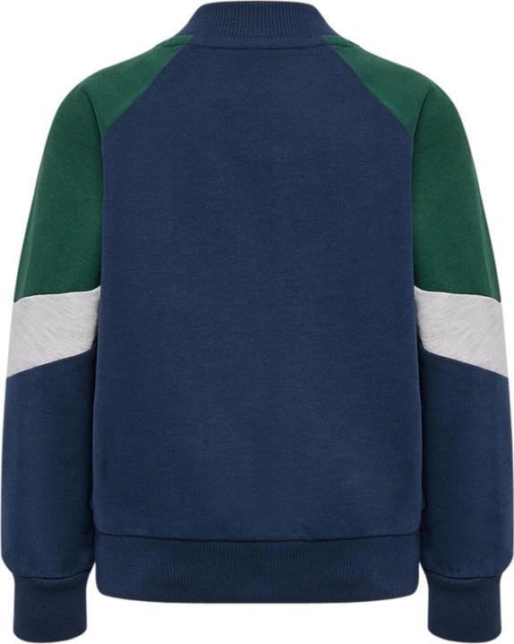 Produktbild hummel Hmlmini Loose Block Zip Jacket (92)