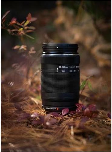 Productafbeelding Olympus OM Digital M.Zuiko Digital 75-300mm II (Micro Vier Derde, Micro Vier Derde)