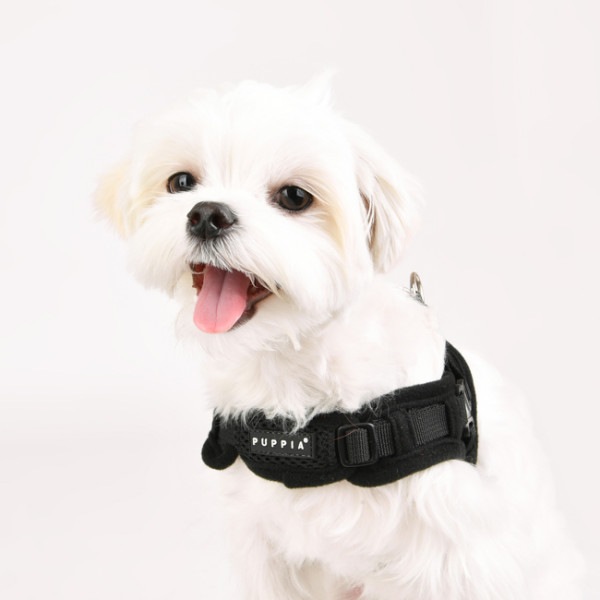 Produktbild Puppia Soft Geschirr X (S, Hund, Spazieren)