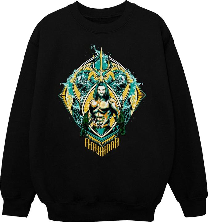 Image du produit Sweatshirt garçon Aquaman The Trench Crest (128)