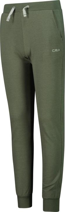 Alligator, olive