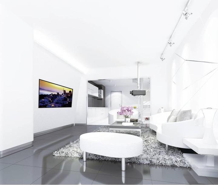 Image du produit Reflecta Support de plafond Tapa L 700-1200mm (Plafond)