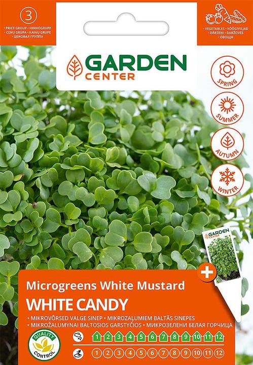 Garden Center Seeds germination WHITE CANDY, 10 g (Groentezaden)