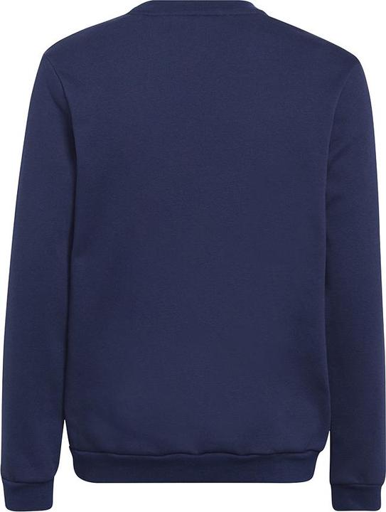 Actual product image adidas Entrada 22 sweatshirt kids (164)