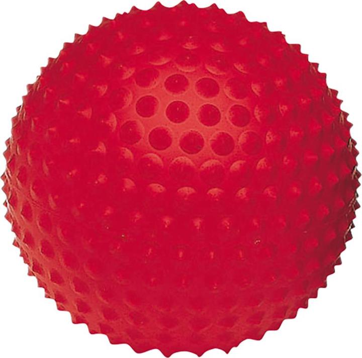 Produktbild Togu Igelball Senso Ball Mini