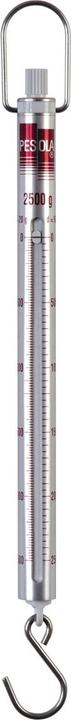 Actual product image Pesola Spring balance