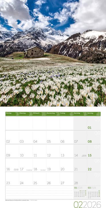 Image du produit Alpen Kalender 2026 - 30x30 (30 x 30 cm, Couverture rigide, Allemand, Italien, Anglais, Français)