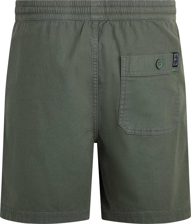 Actual product image Weird Fish Mens Weston Canvas Shorts (32)