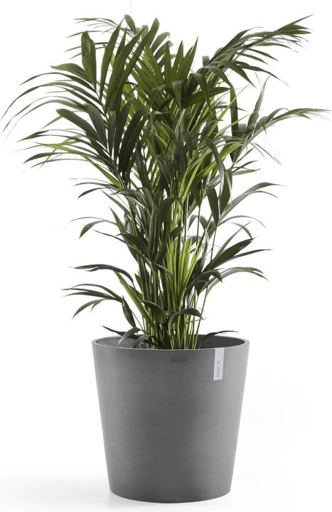 Produktbild Ecopots Amsterdam + Wasserbehälter (50 cm)