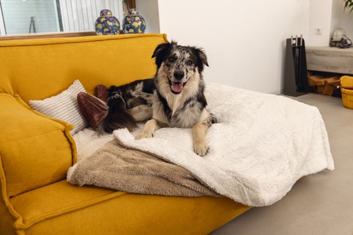 Actual product image Designed by Lotte Wush (Dog)