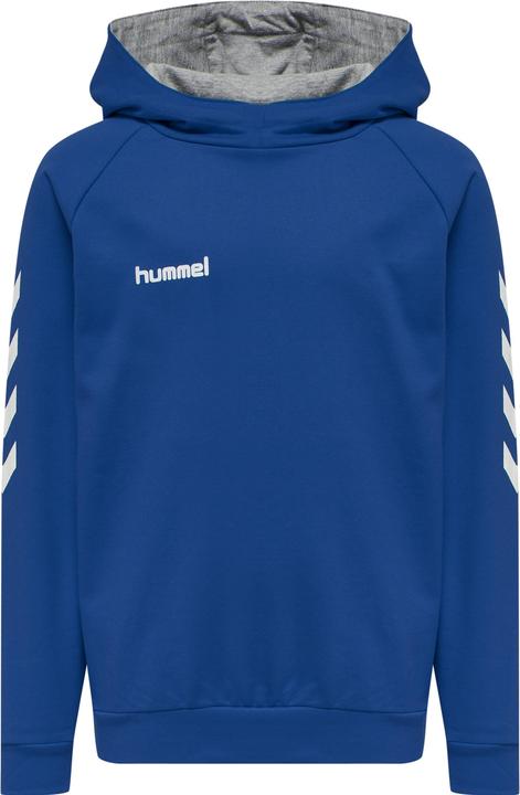 Produktbild hummel Go Kids Cotton Hoodie (152)