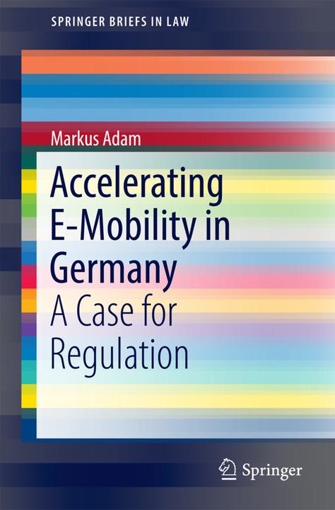 Energie-Label Accelerating E-Mobility in Germany (Englisch, Markus Adam, 2016)