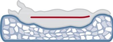 Image du produit Trixie Jonna (Chien)