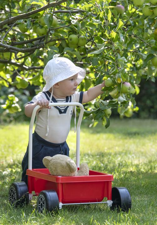 Image du produit Plasto 1068RED Bébé marcheur Rouge