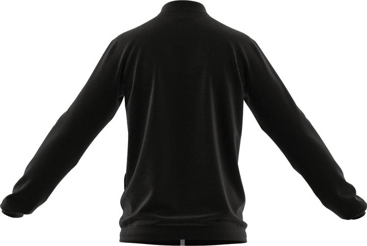 Actual product image Adidas Entrada 22 men's training jacket (L)