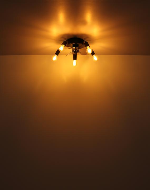 Actual product image Globo Alisha (54 dB)