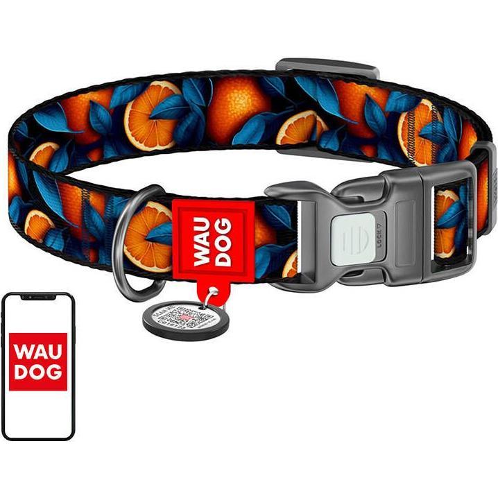 Thumbnail - Collar Waudog "Oranges" nylon dog with QR code, size M (M, Hund, Hundesport), Halsband + Leine