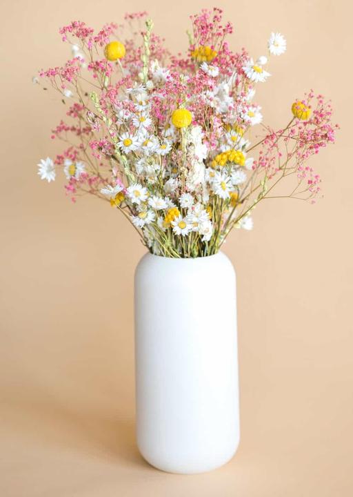 Image du produit la fleur douce Joyeux (Fleurs séchées)