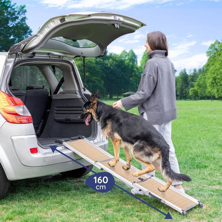 Actual product image Priopret Hunderampe (Dog)