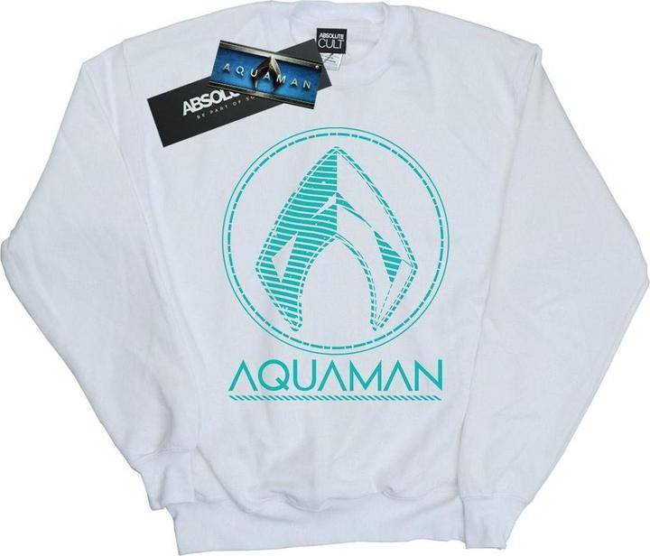 Produktbild Jungen Aquaman Aqua Logo Sweatshirt (116)