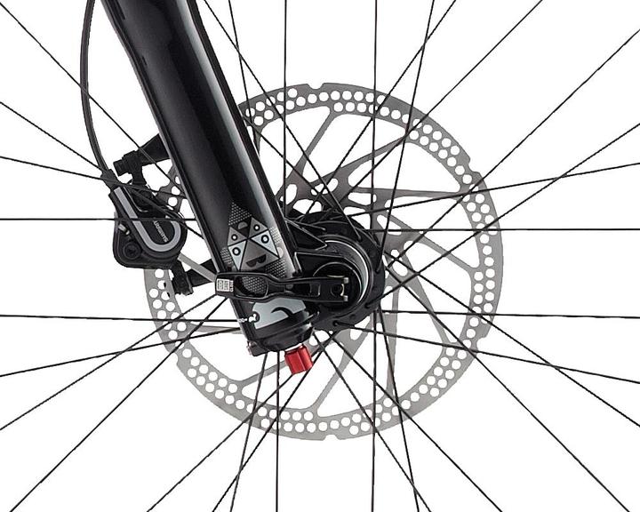 Actual product image Wheeler Raptor 30 (51 cm)