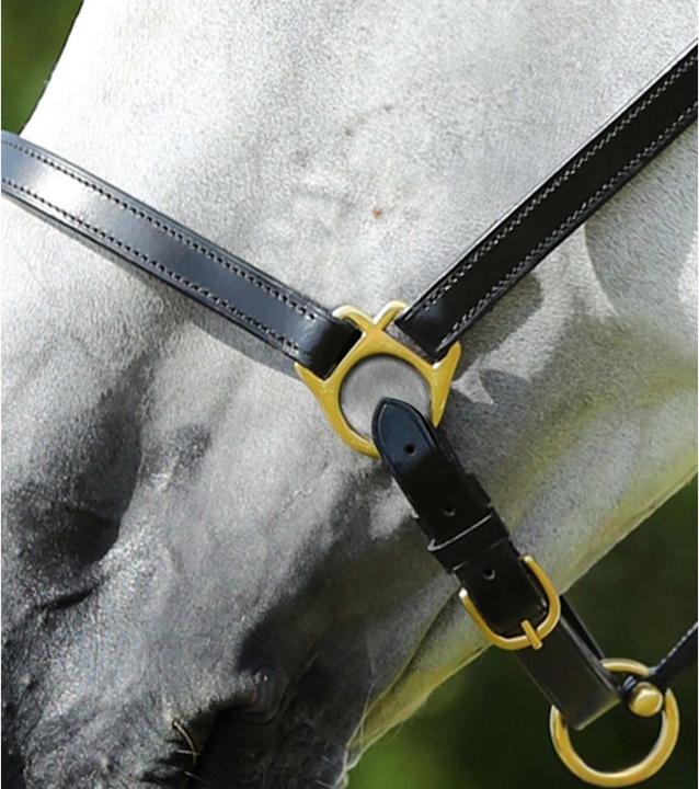 Image du produit Premier Equine Licol pour cheval en cuir