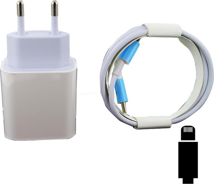 Actual product image cyoo Charger PD01 + Type C to Lightning cable (20 W)