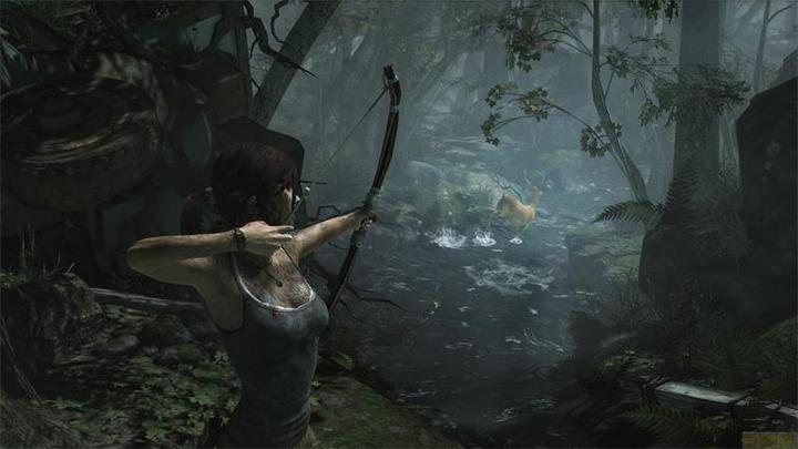 Actual product image Capcom Tomb Raider: Definitive Edition (PS4, DE)