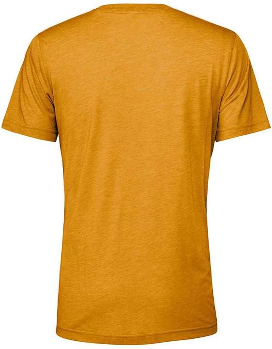 Actual product image Bella Canvas Bella + Canvas Tshirt (L)