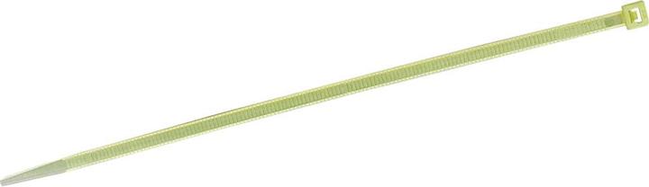 Actual product image Wetec Cable tie, natural, heat stabilised, 100 x 2.5 mm (Plastic cable ties, 100 mm, 1 pcs.)