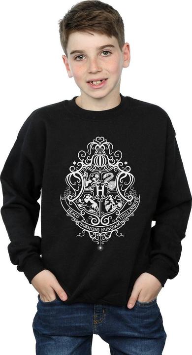 Immagine prodotto Hogwarts Draco Dormiens Crest Felpa Ragazzi (116)