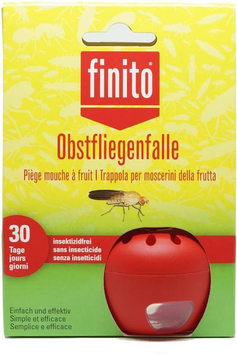 Actual product image Finito Fruit Fly Trap Eco
