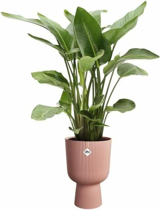 Actual product image Elho Vibes Fold Coupe (29.50 x 29.50 x 44.70 cm)