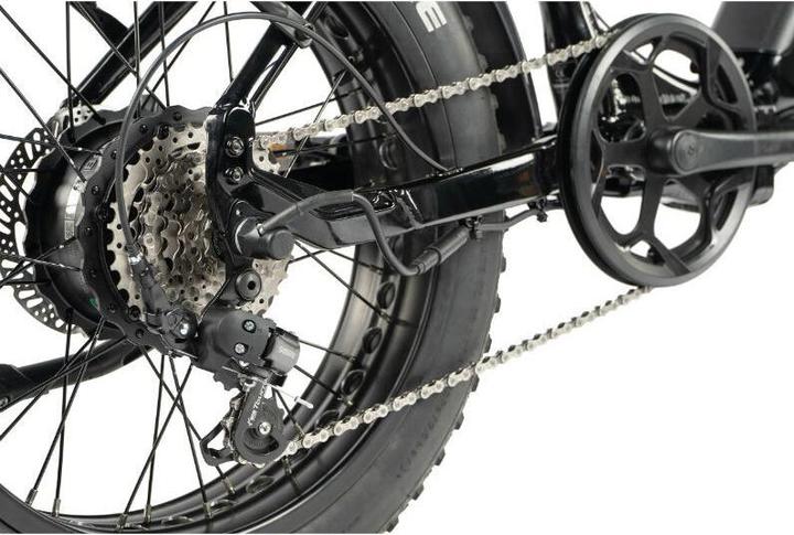 Actual product image Leader Fox Fat Bike 20 Cody 2024 (20")