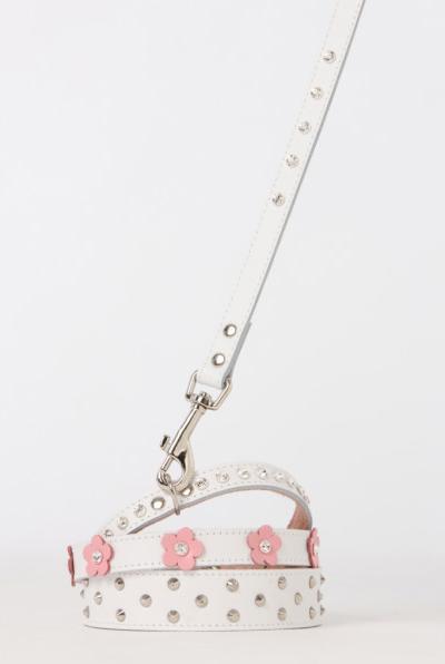 Image du produit Dogue Collier Foxy (40, Chien)