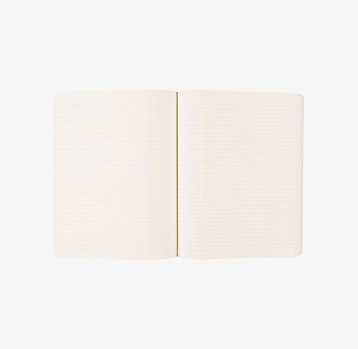 Produktbild Moleskine Notizbuch klassisch (19 x 25 cm, Liniert, Weicher Einband)