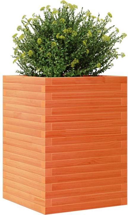 Produktbild vidaXL Pflanzkübel