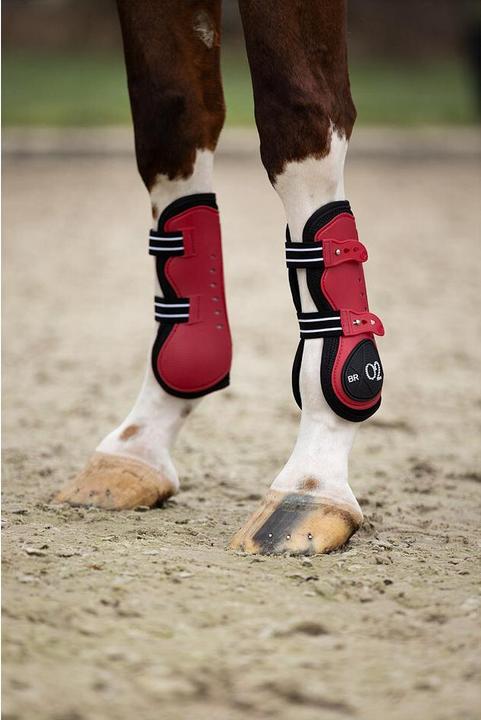 Produktbild BR Equestrian Equipment XO2