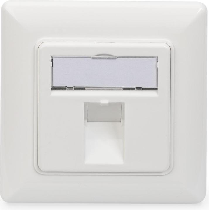 Produktbild Digitus Frontplatte für Keystone Jacks 1x RJ45 Staubschutz 80x80 + Zentralplatte reinweiss seperater Mass..