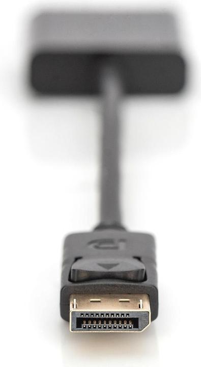 Productafbeelding Digitus DisplayPort naar (VGA, 15 cm)