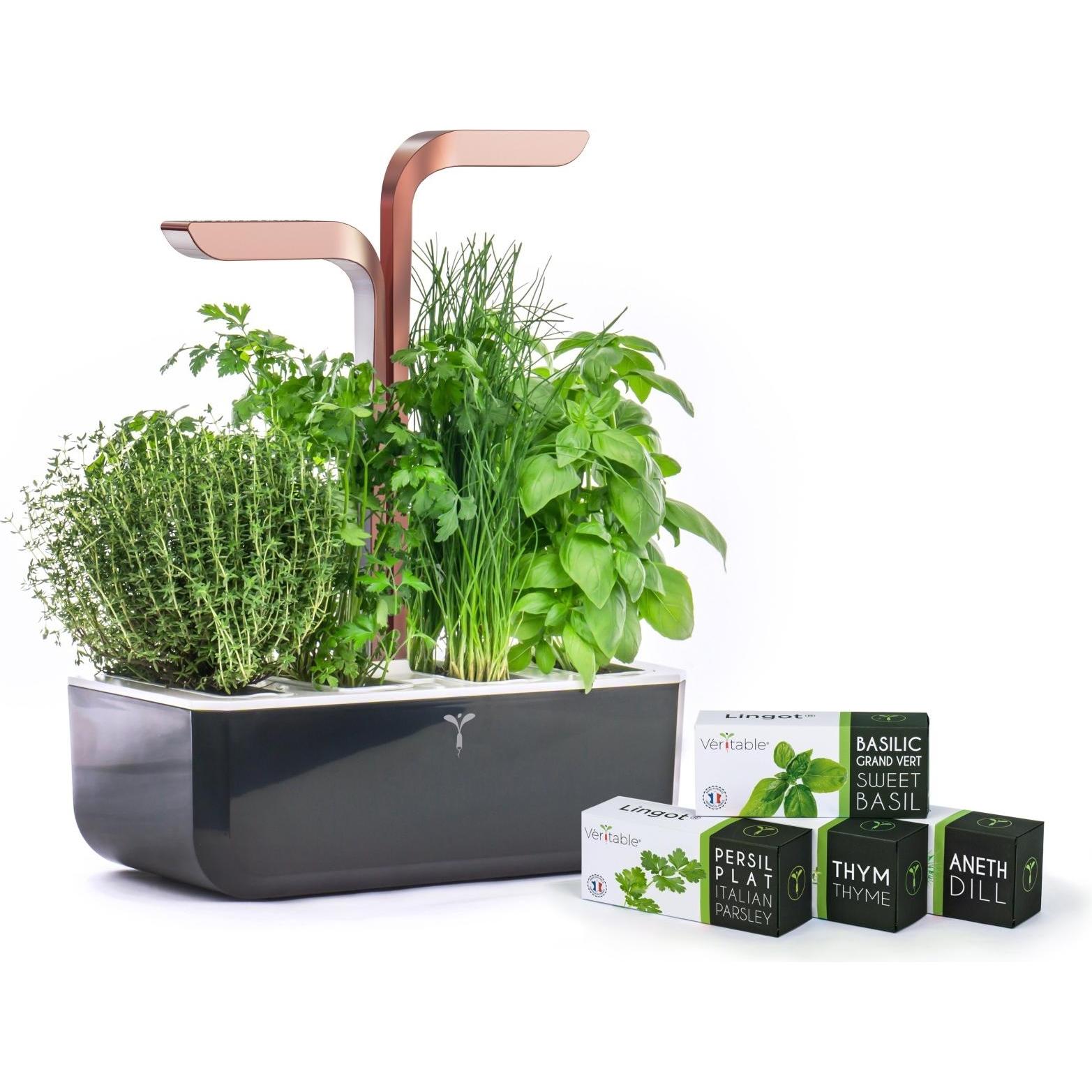 Véritable, Blumentopf, Smart (18.50 cm)