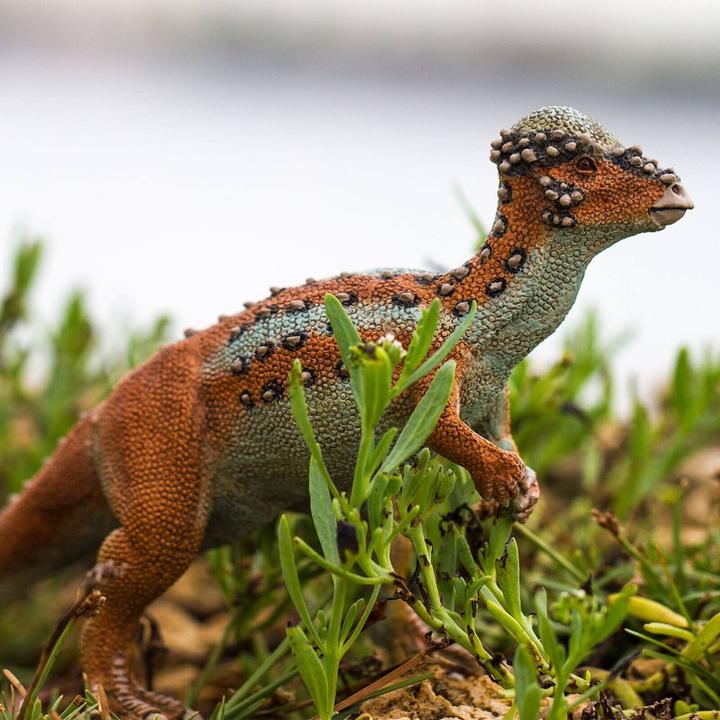 Produktbild Safari Pachycephalosaurus