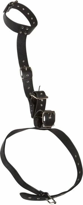 Actual product image Bad Kitty Neck handcuff