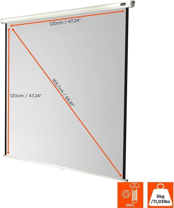 Actual product image Celexon Rollo Economy, Canvas, 1:1 (66.93", 1:1)