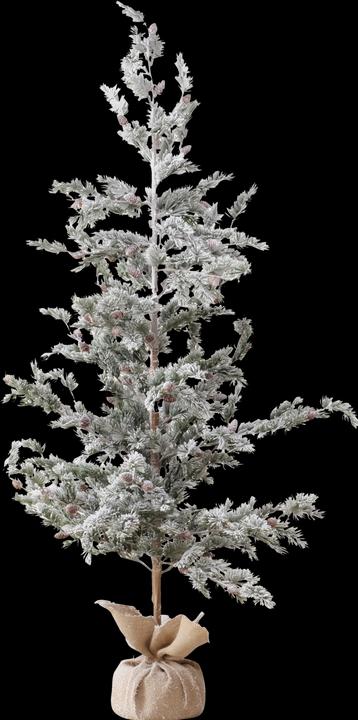 Actual product image Boltze Home Pine (180 cm)